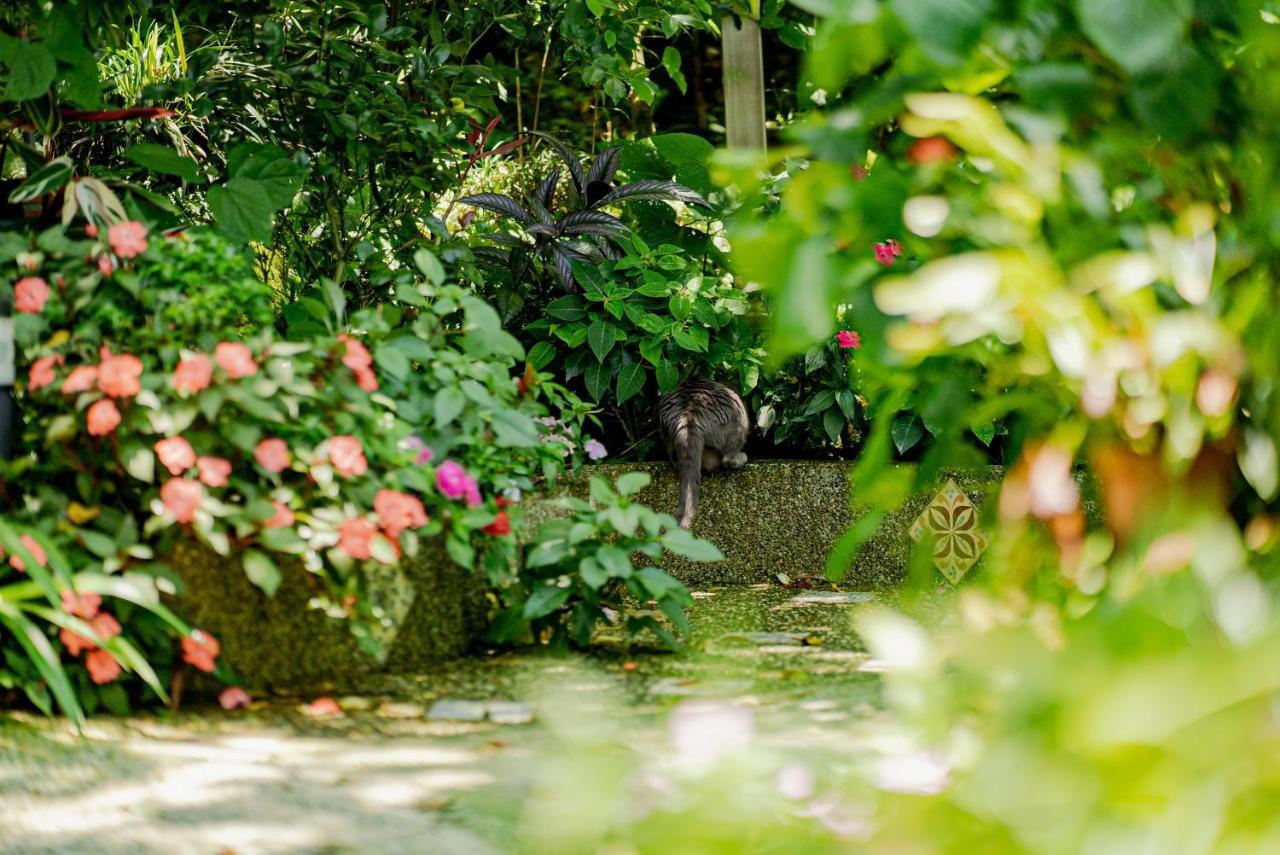 Olive Tree Village Guesthouse Nanzhuang Zewnętrze zdjęcie